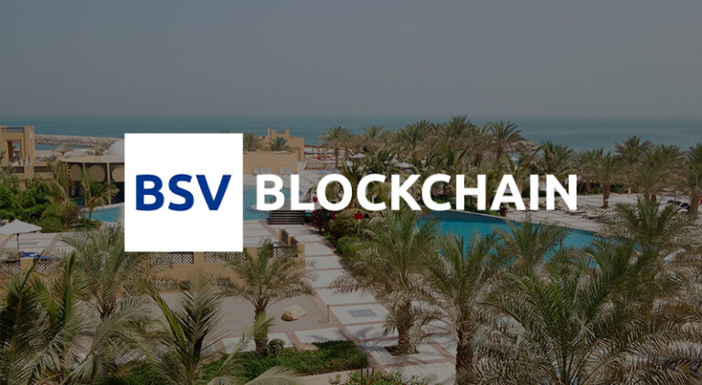 BSV Blockchain logo